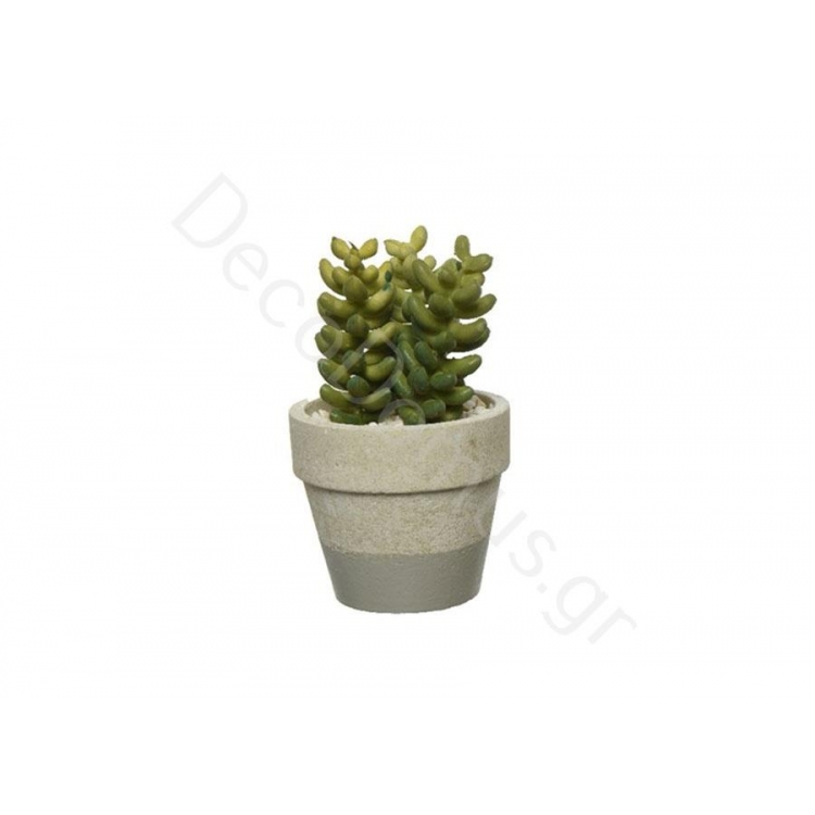 ΚΑΚΤΑΚΙ SEDUM PACHUPHYLLUM ΜΕ ΓΚΡΙ ΓΛΑΣΤΡΑ Συνθετικό 6.5x6.5xh11