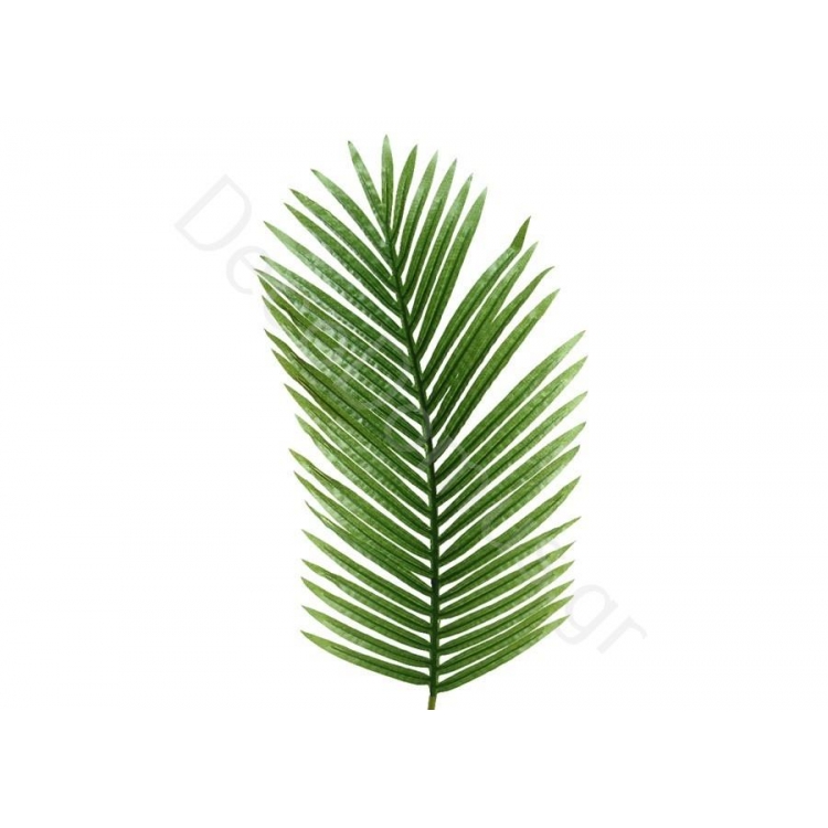 ΜΕΓΑΛΟ ΦΥΛΛΟ ΦΤΕΡΗ Συνθετικό 33x2xh111