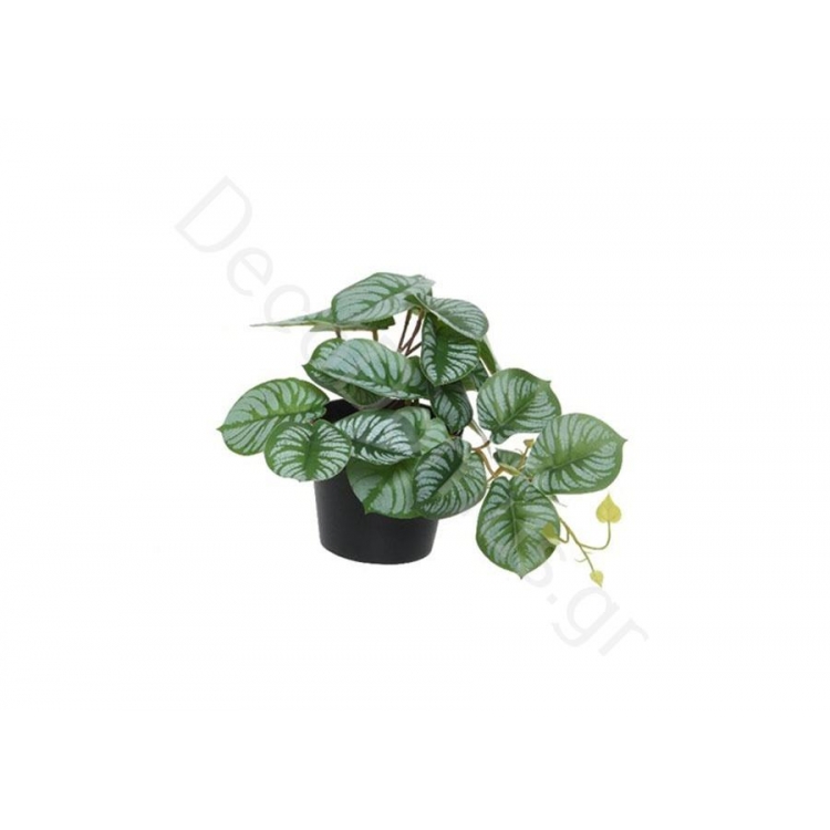 ΓΛΑΣΤΡΑΚΙ ΜΕ ΣΚΟΥΡΟ ΠΡΑΣΙΝΟ ΦΥΛΛΩΜΑ Συνθετικό 18x18xh17