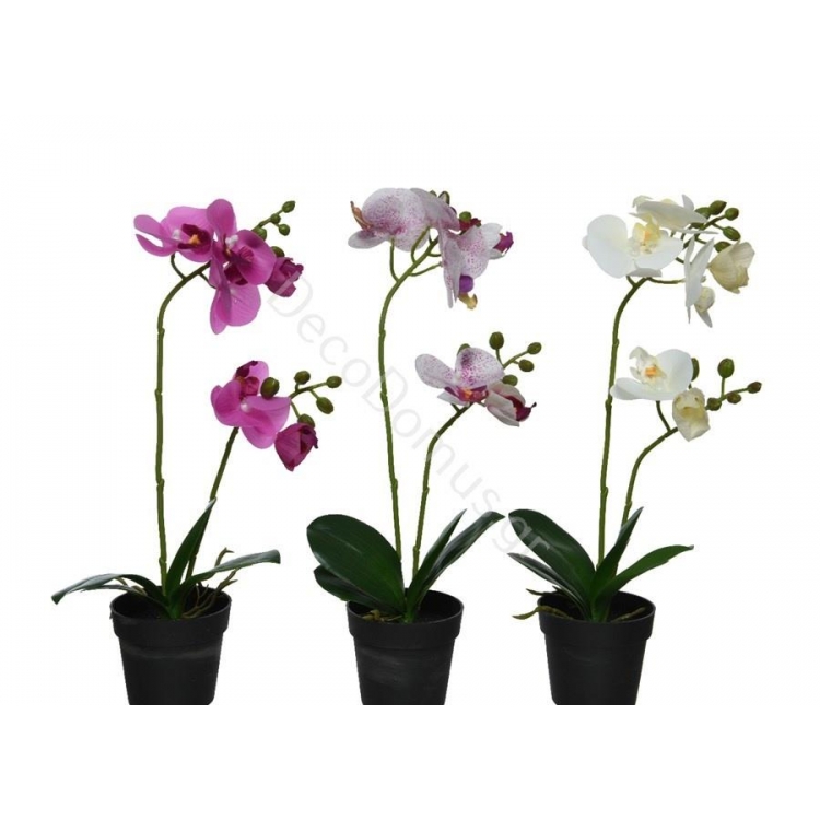 ΟΡΧΙΔΕΑ ΣΕ ΓΛΑΣΤΡΑ ΣΕ 3 ΧΡΩΜΑΤΑ Συνθετικό 20*18*Y46 EK.