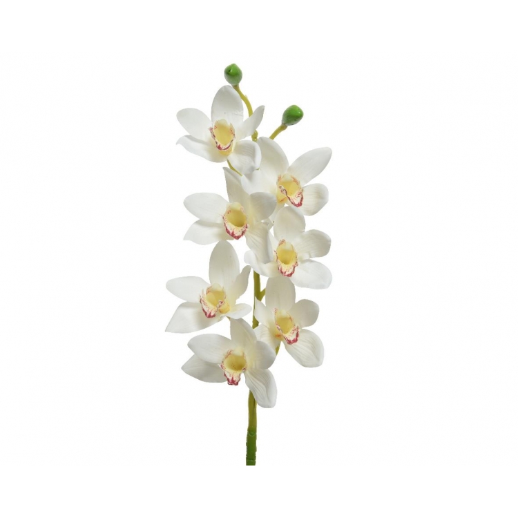 ΟΡΧΙΔΕΑ ΛΕΥΚΗ Συνθετικό 15*10*Y81