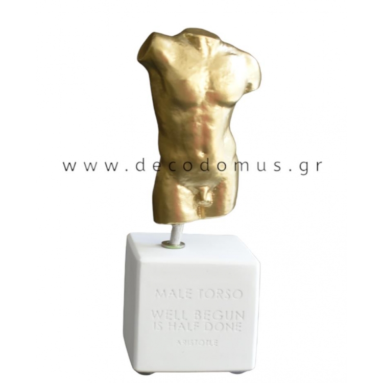 SOPHIA ΑΝΤΡΙΚΟΣ ΚΟΡΜΟΣ S ΧΡΥΣΟΣ Κεραμικό 0.06*0.06*0.17Y