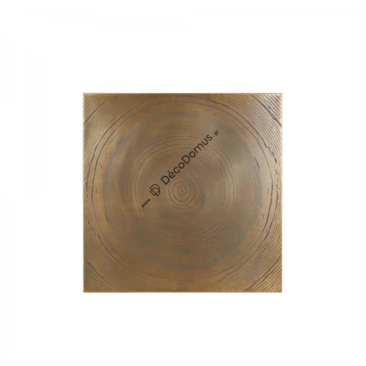 ΔΙΑΚΟΣΜΗΤΙΚΟΣ ΠΙΝΑΚΑΣ LOLITA ΑΝΑΓΛΥΦΟΣ ΜΠΡΟΝΖΕ Light&Living Μέταλλο 80*1.5*80