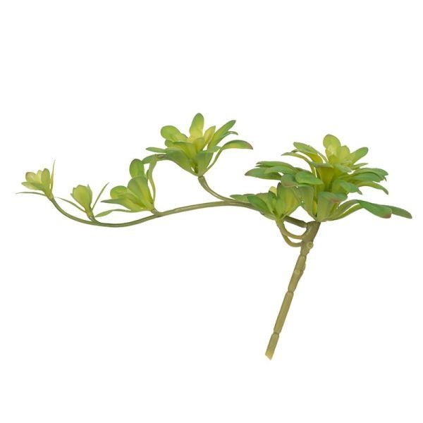 ΤΕΧΝΗΤΟ ΚΛΩΝΑΡΙ ΠΑΧΥΦΥΤΟ Συνθετικό 17*30