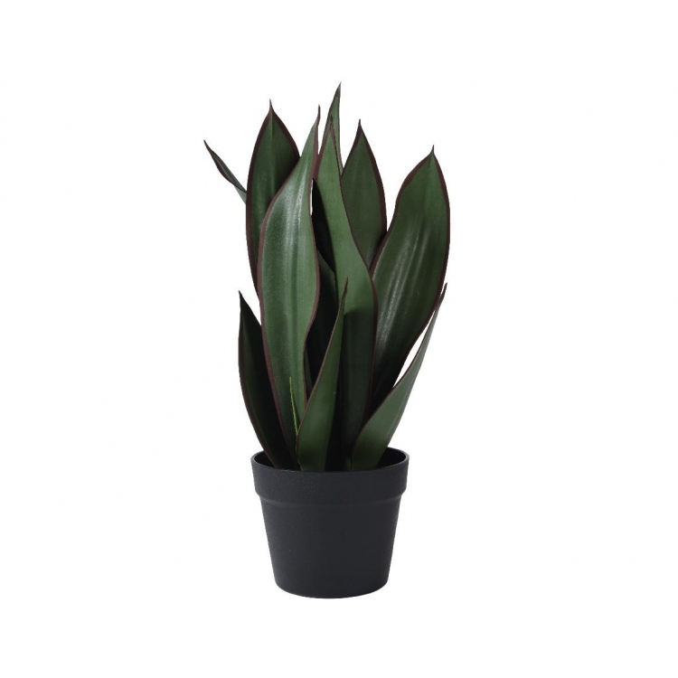 ΦΥΤΟ ΣΑΝΣΙΒΕΡΙΑ ΣΕ ΓΛΑΣΤΡΑ KAEMINGK Συνθετικό 30*Υ52