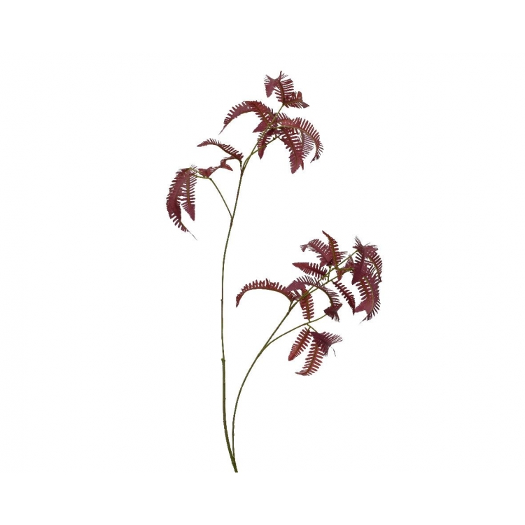 ΦΥΤΟ ΚΛΑΔΙ ΦΤΕΡΗ ΒΥΣΣΙΝΙ-ΜΠΟΡΝΤΟ KAEMINGK Συνθετικό 8*8*Y102