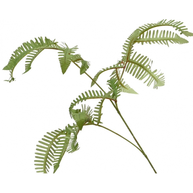 ΦΥΤΟ ΚΛΑΔΙ ΦΤΕΡΗ ΠΡΑΣΙΝΟ KAEMINGK Συνθετικό 8*8*Y102