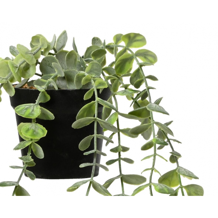 ΦΥΤΟ ΕΥΚΑΛΥΠΤΟΣ ΣΕ ΓΛΑΣΤΡΑ KAEMINGK Συνθετικό 13*12*Y51