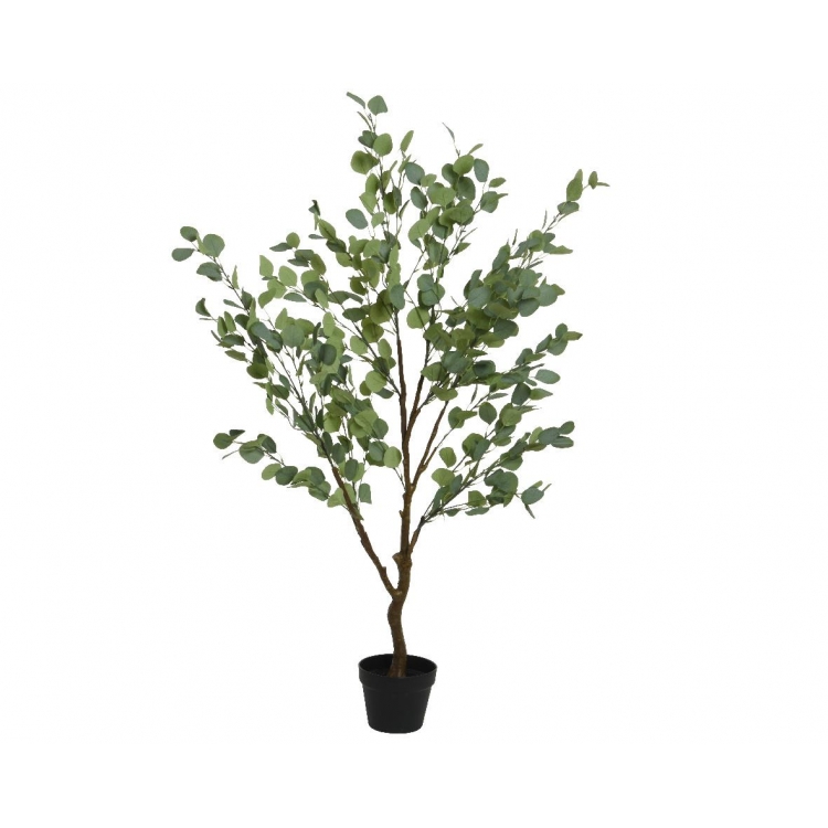 ΦΥΤΟ ΕΥΚΑΛΥΠΤΟΣ ΣΕ ΓΛΑΣΤΡΑ Συνθετικό Μ0.65Π0.50Υ1.50