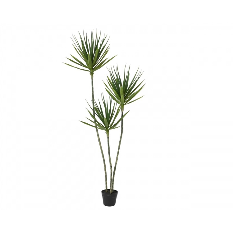 ΦΥΤΟ ΓΙΟΥΚΑ ΣΕ ΓΛΑΣΤΡΑ EVERLANDS Συνθετικό Φ0.80*Υ1.60