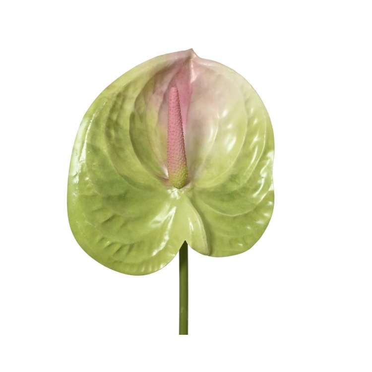 ΚΛΆΔΙ ΜΕ ΛΟΥΛΟΥΔΙ ΑΝΘΟΥΡΙΟ EVERLANDS Συνθετικό Μ0.14Π0.05Υ0.67