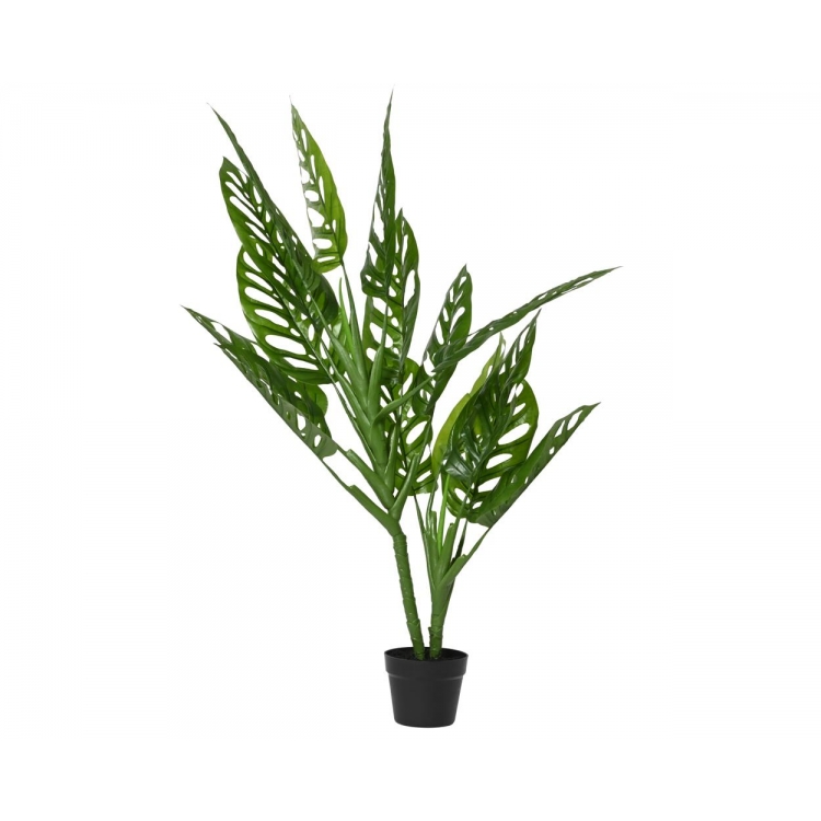 ΦΥΤΟ ΜΟΝΣΤΕΡΑ ΣΕ ΓΛΑΣΤΡΑ EVERLANDS Συνθετικό Φ0.70*Υ1.20