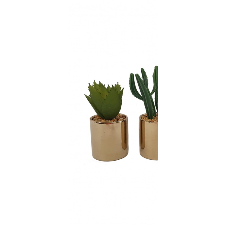 ΓΛΑΣΤΡΑΚΙ ΧΡΥΣΟ ΜΕ ΠΑΧΥΦΥΤΟ ΑΛΟΗ Συνθετικό Φ6*12