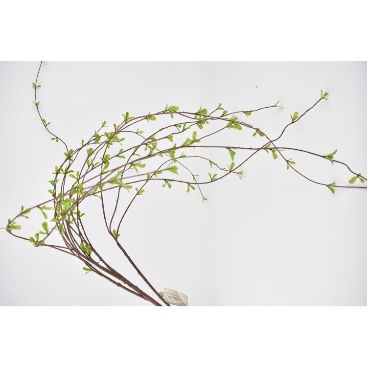 ΛΟΥΛΟΥΔΙ ΠΡΑΣΙΝΑΔΑ Συνθετικό 34*112