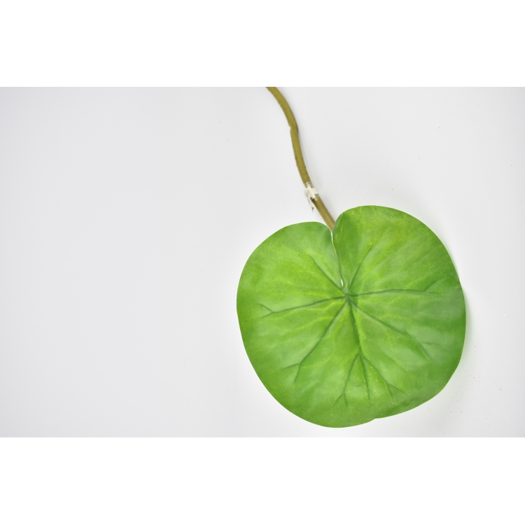 ΦΥΛΛΟ ΠΡΑΣΙΝΟ  65