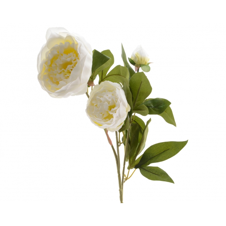 ΛΟΥΛΟΥΔΙ ΠΑΙΩΝΙΑ ΛΕΥΚΗ Συνθετικό 22*27*75