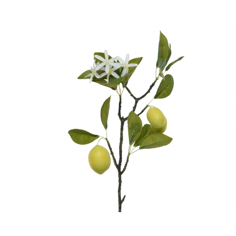 ΛΟΥΛΟΥΔΙ ΛΕΜΟΝΙΑ ΚΛΑΔΙ Συνθετικό 23*8*47