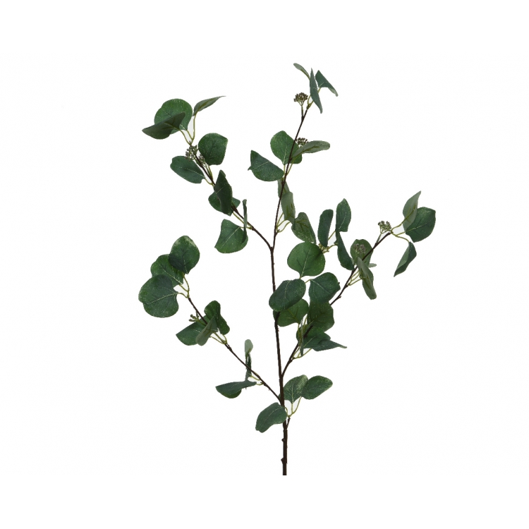 ΛΟΥΛΟΥΔΙ ΕΥΚΑΛΥΠΤΟΣ Συνθετικό 33*21*91