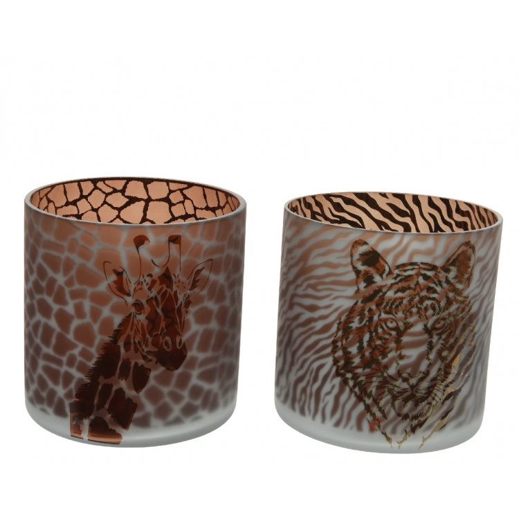 ΡΕΣΟ ΚΑΦΕ ΜΕ ΤΙΓΡΗ Γυαλί Φ15*15