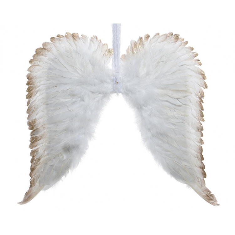 ΦΤΕΡΑ ΜΕΓΑΛΑ ΛΕΥΚΑ Πούπουλο 38*34