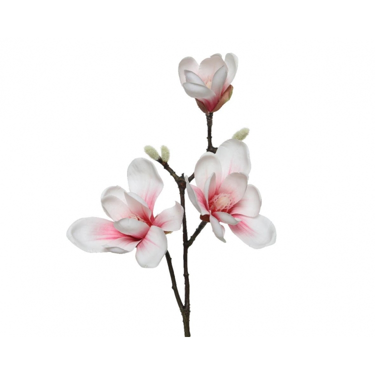 ΛΟΥΛΟΥΔΙ ΜΑΝΩΛΙΑ ΡΟΖ Συνθετικό 24*12*50Υ