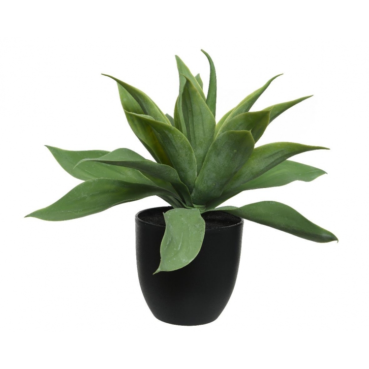 ΔΙΑΚΟΣΜΗΤΙΚΗ ΑΓΑΥΗ ΣΕ ΓΛΑΣΤΡΑ ΠΡΑΣΙΝΗ Συνθετικό 37*37*34.5