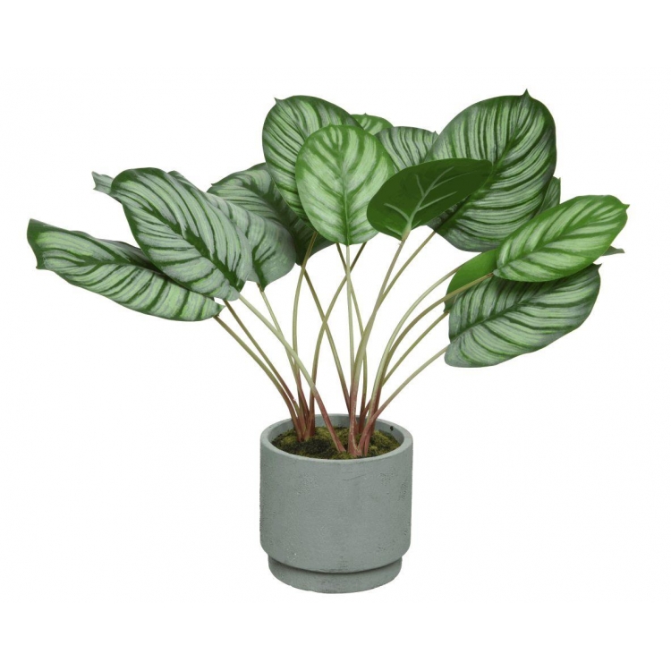 ΦΥΤΟ ΚΑΛΑΘΕΑ ΠΡΑΣΙΝΟ ΣΕ ΓΛΑΣΤΡΑ Συνθετικό 38*40*42cm